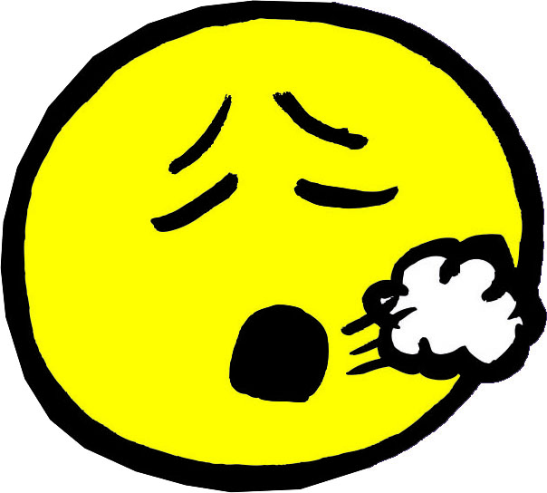 SAI_che_Aria_respiri_ESEC copia