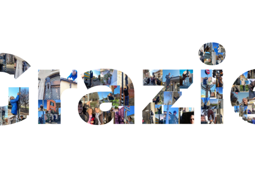 NO2 NO GRAZIE 2023, sono online i risultati del monitoraggio!